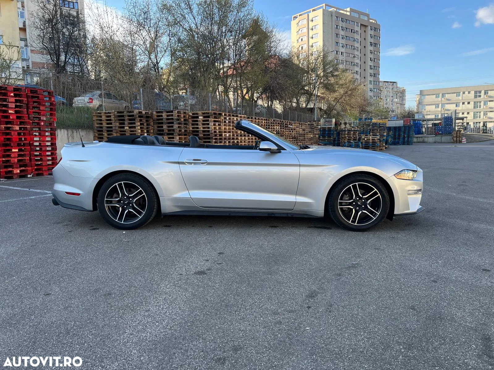 Ford Mustang Cabrio 2.3 Eco Boost - 17