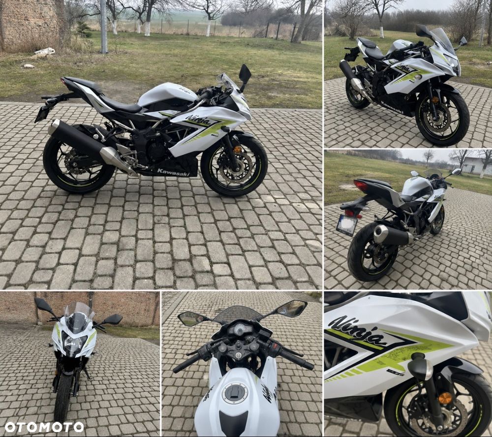Kawasaki Ninja - 1