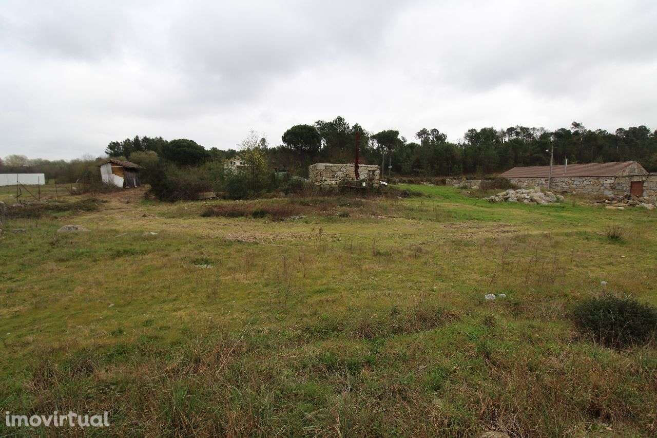 Terreno na Estrada Nacional - Grande imagem: 3/11