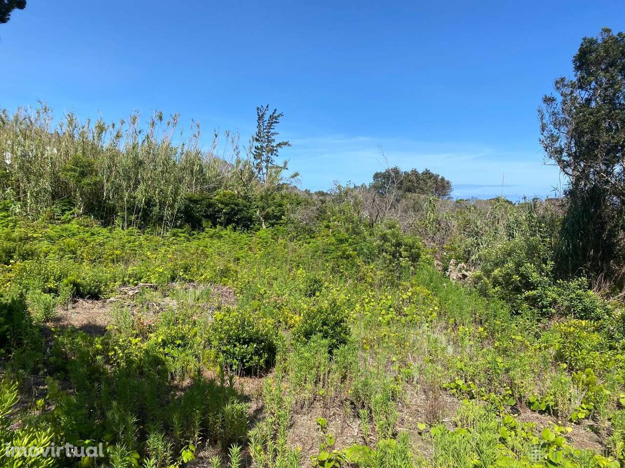 Venda Terreno - Grande imagem: 2/4