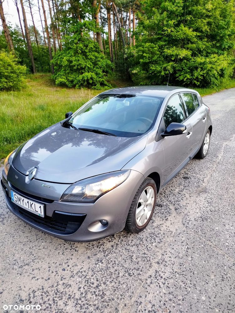 Renault Megane 1.6 16V Color Edition - 1
