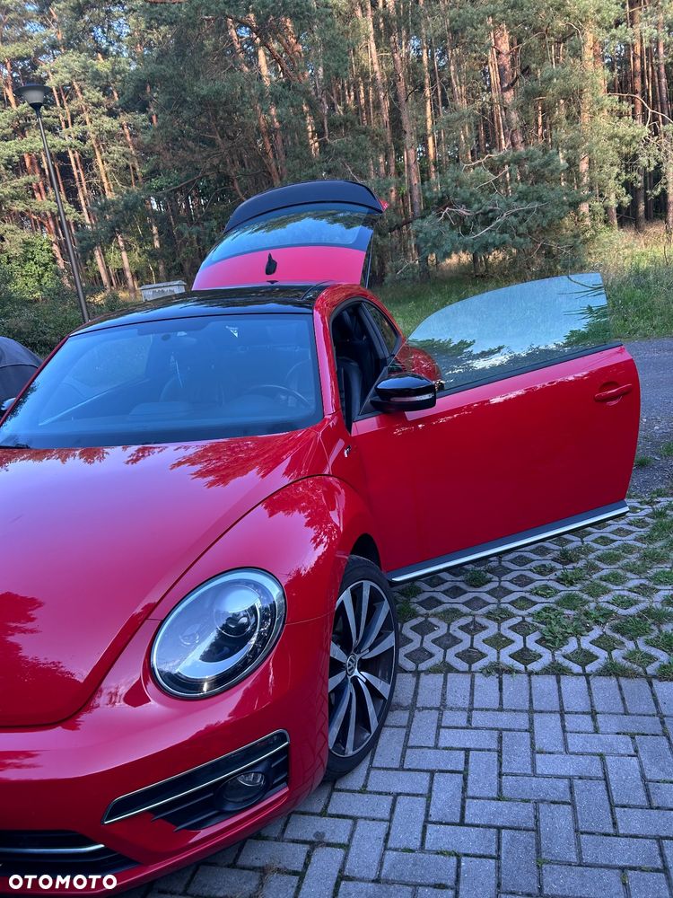 Volkswagen Beetle - 6