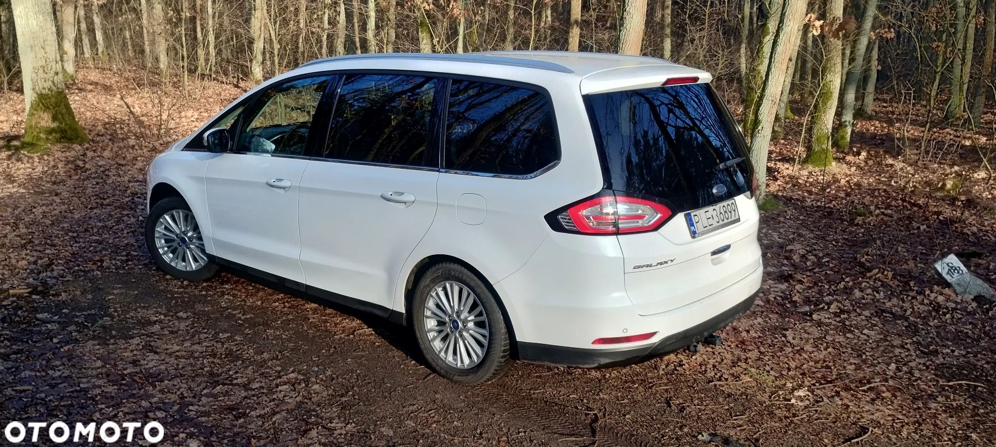 Ford Galaxy 2.0 TDCi 4WD Titanium PowerShift - 1