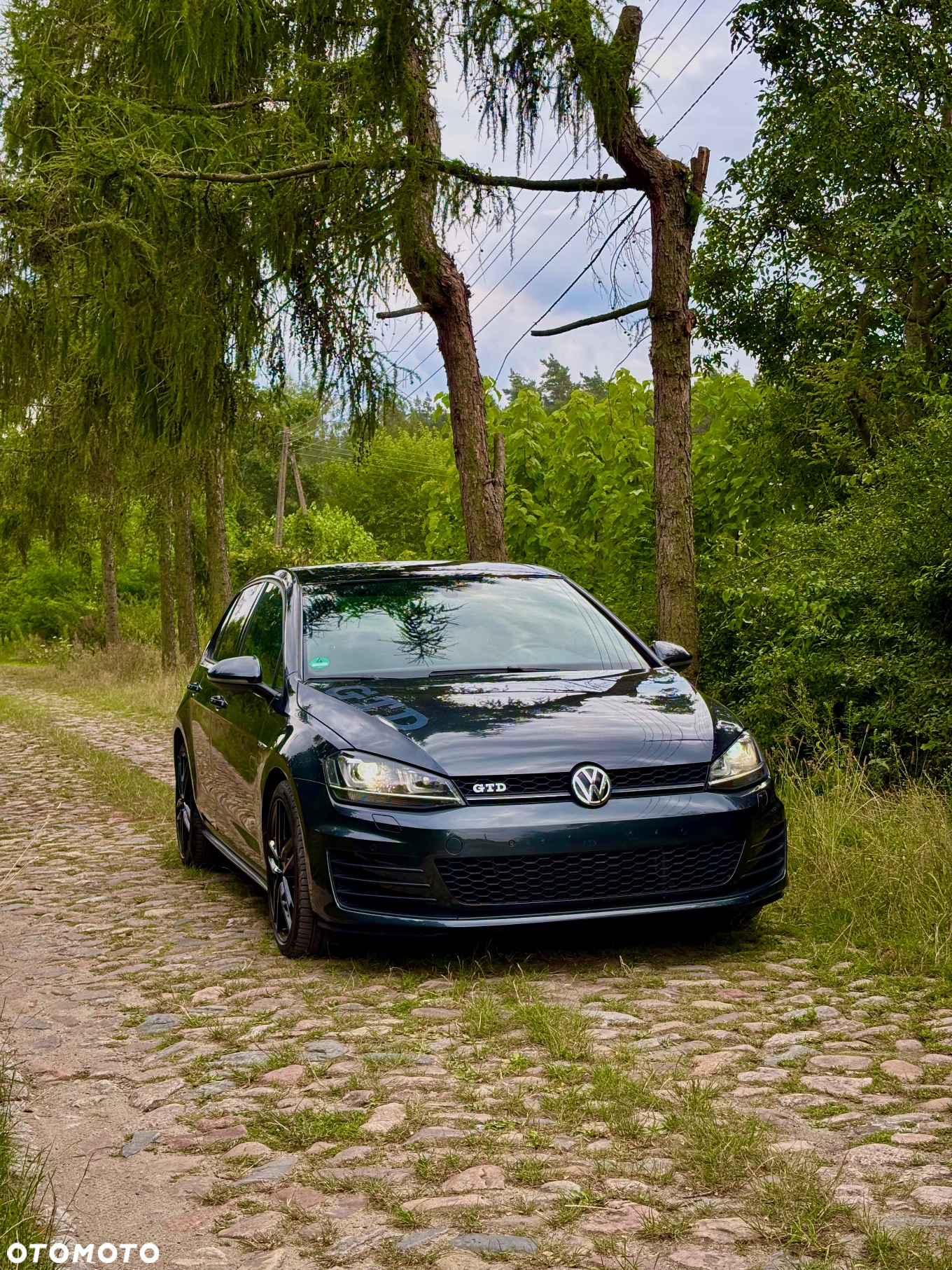Volkswagen Golf VII 2.0 TDI BMT GTD - 3