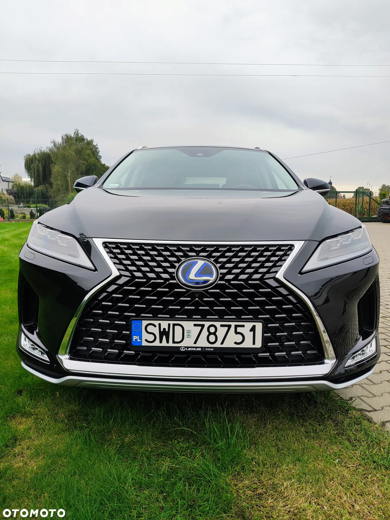 Lexus RX 450h Omotenashi - 8
