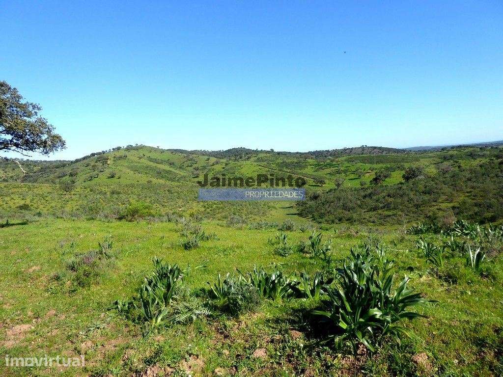 3.500.000m2 Herdade próxima Alqueva. Portugal, Évora, Portel. - Grande imagem: 4/9