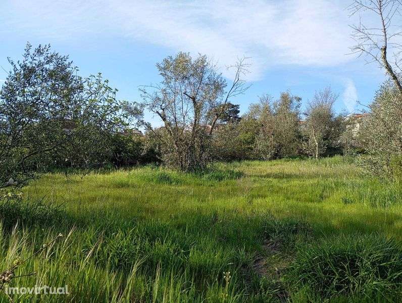 Lindo Terreno na Variante - Grande imagem: 5/6