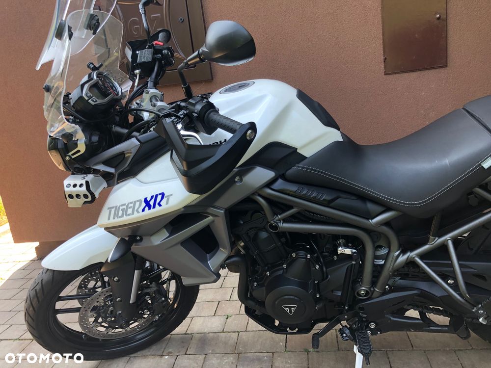 Triumph Tiger - 13