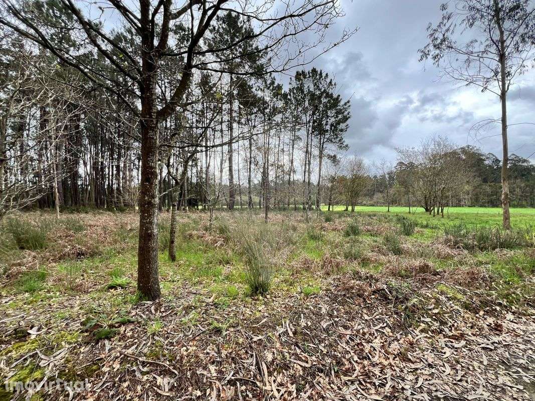 Terreno  para venda - Grande imagem: 2/12