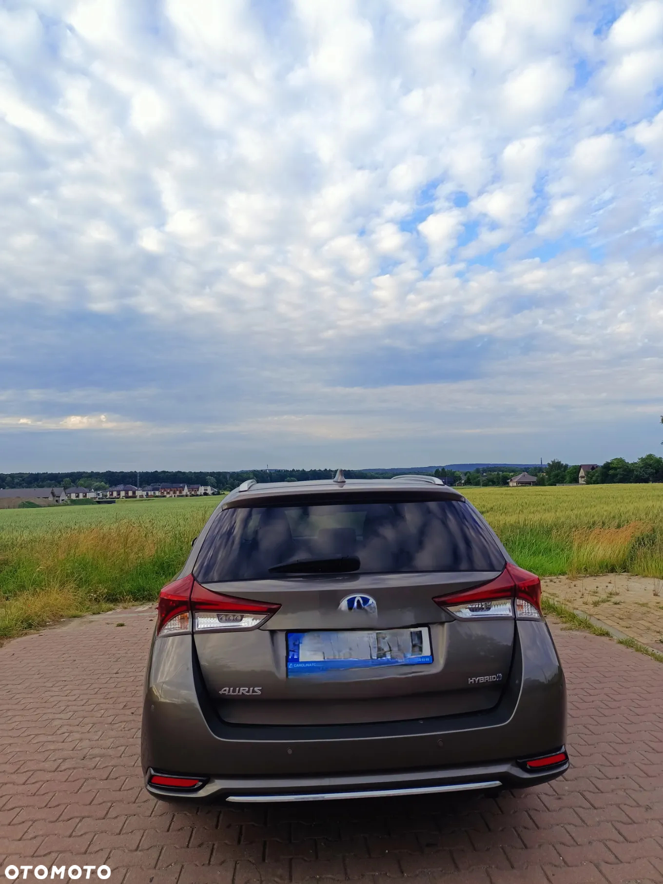 Toyota Auris Hybrid 135 Freestyle - 2