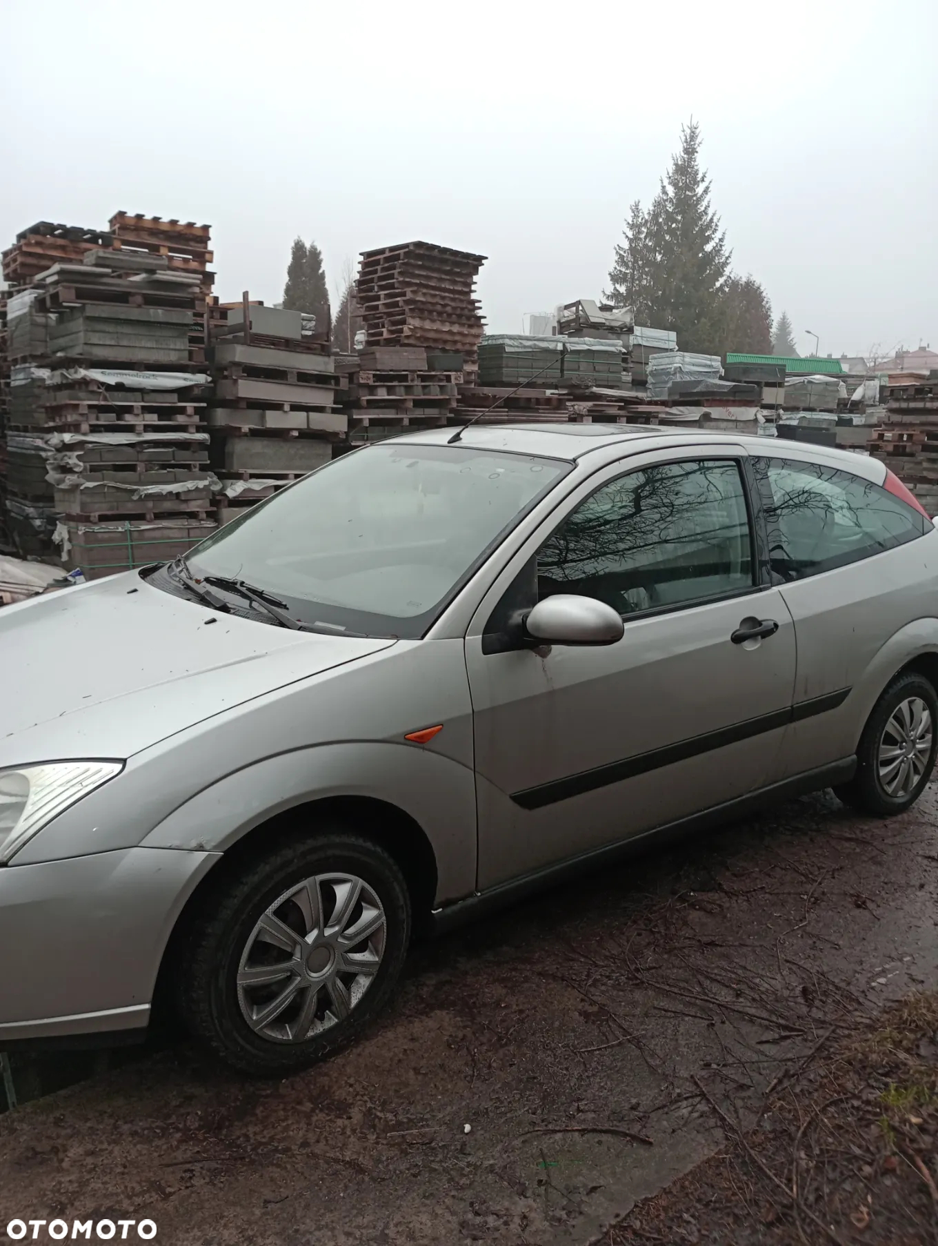 Ford Focus - 7