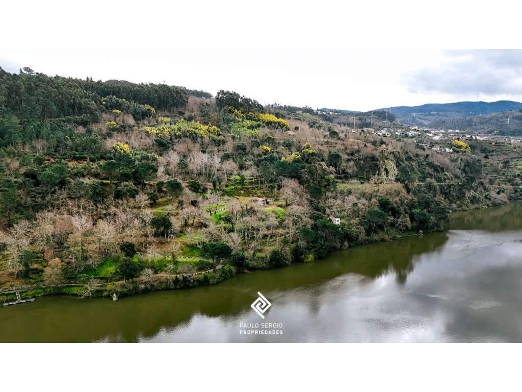 Terreno de 22.000m2 junto ao rio Douro Já teve projeto aprovado par... - Grande imagem: 2/14