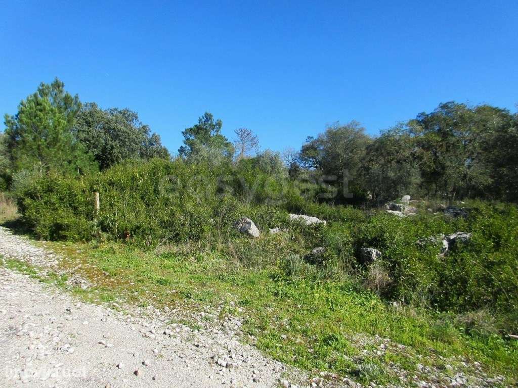 Terreno Urbano de 3244m² em Mira de Aire - Uma excelente opção para... - Grande imagem: 2/18