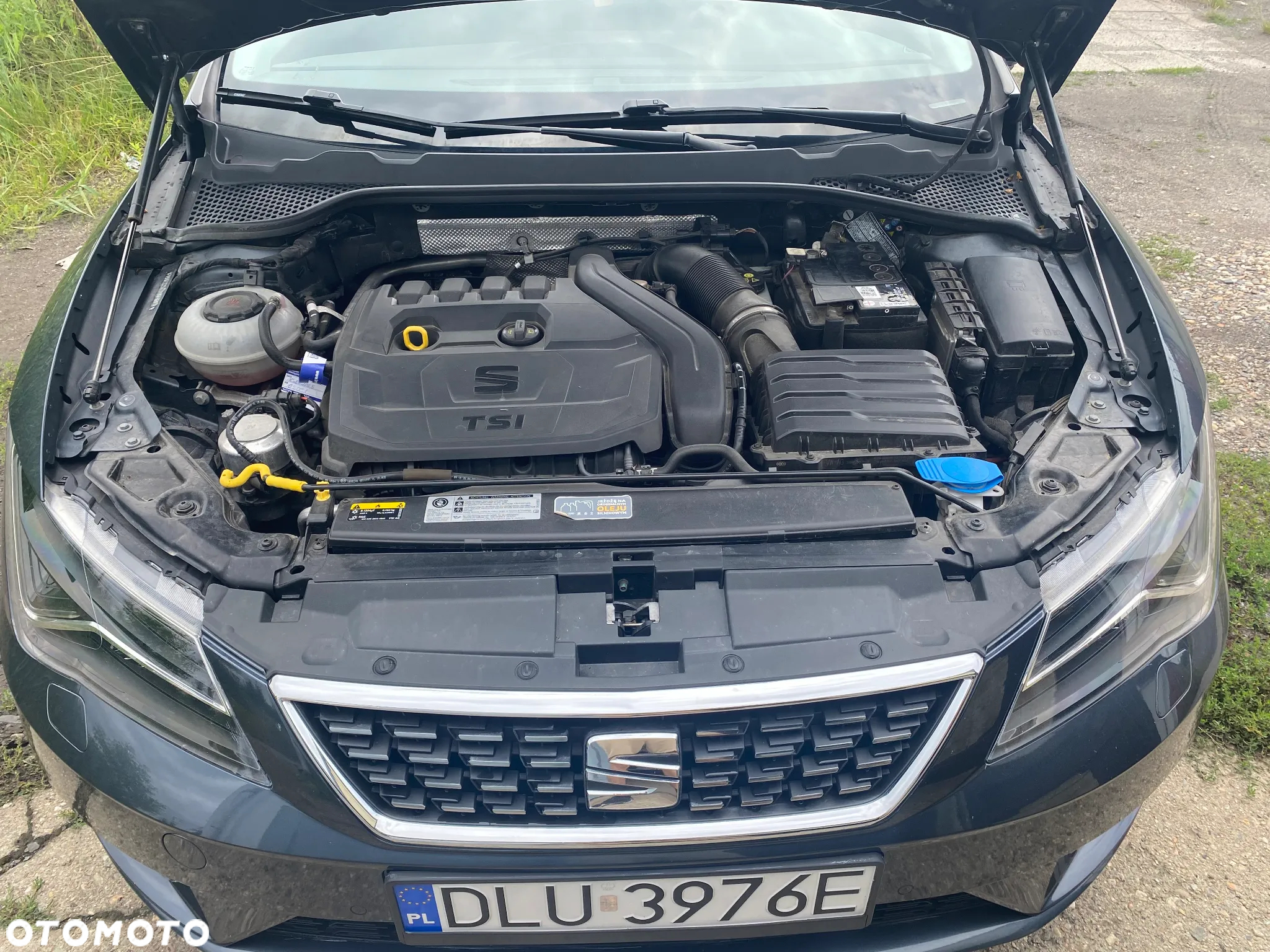 Seat Leon 1.5 EcoTSI Evo Xcellence S&S - 8