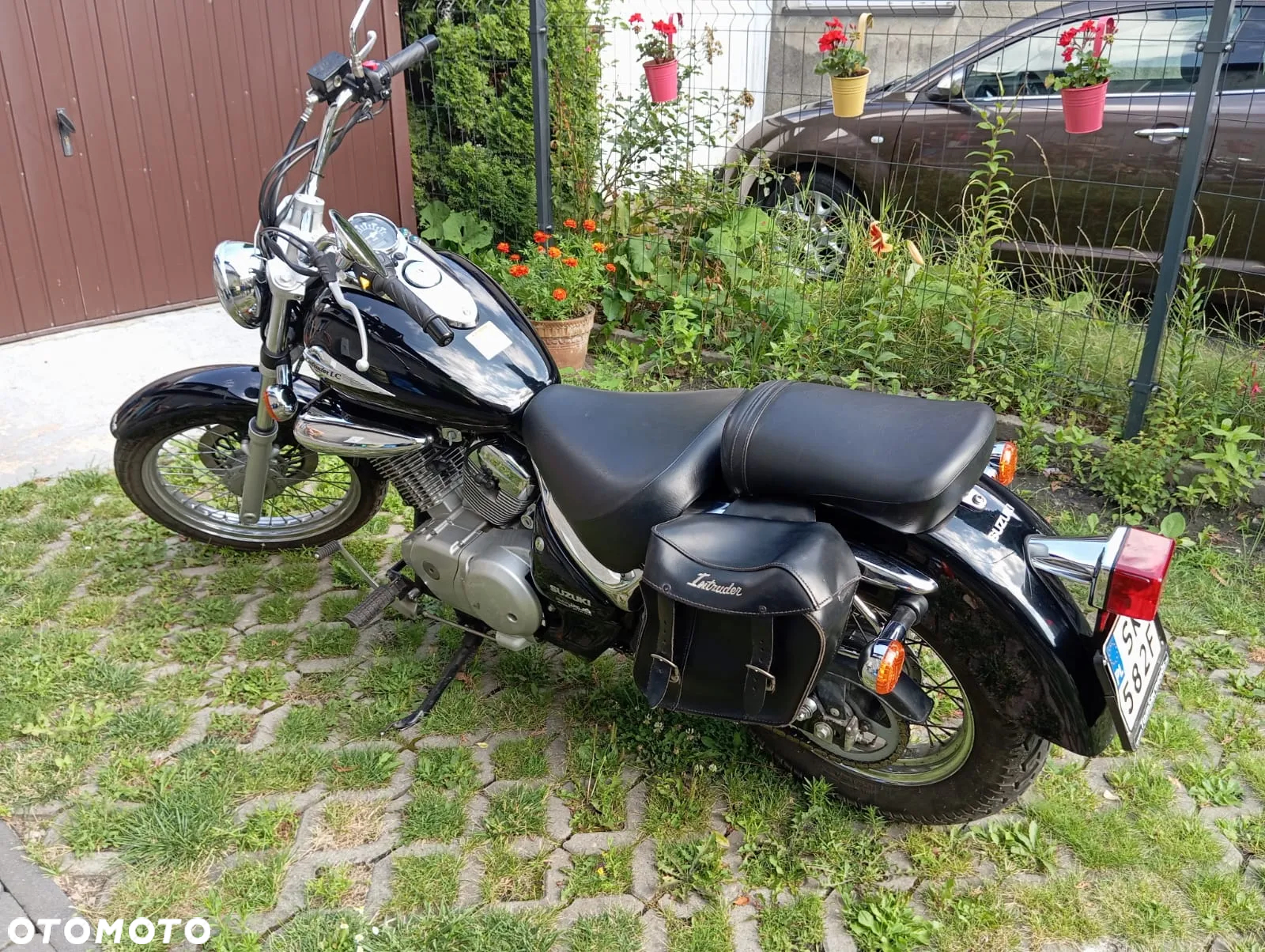 Suzuki Intruder - 5