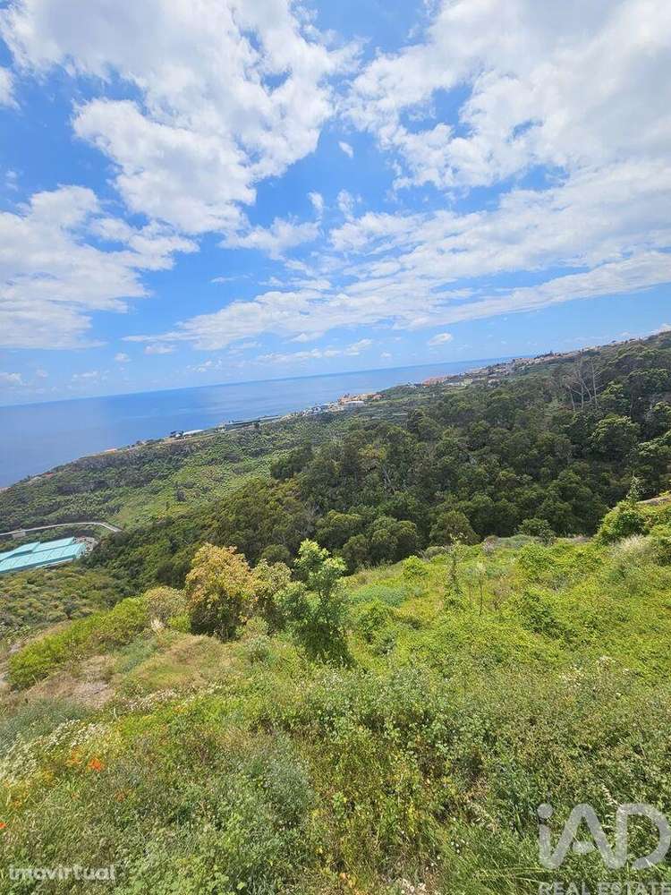 Terreno em Gaula de 3370,00 m2 - Grande imagem: 4/9