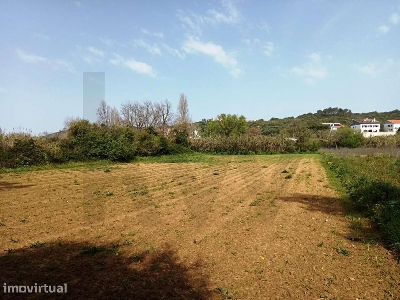 Terreno Agrícola em Ótima Localização com 3500 m2 Junto à Praia Ribeir - Grande imagem: 2/7
