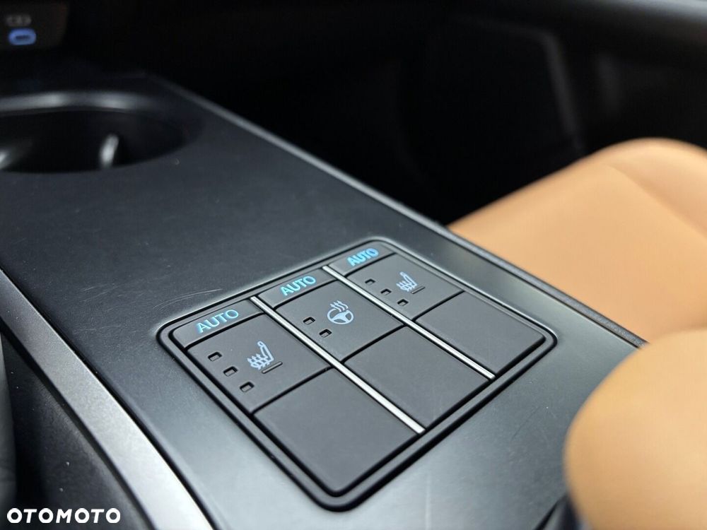 Lexus UX 250h GPF F Sport Design 2WD - 12