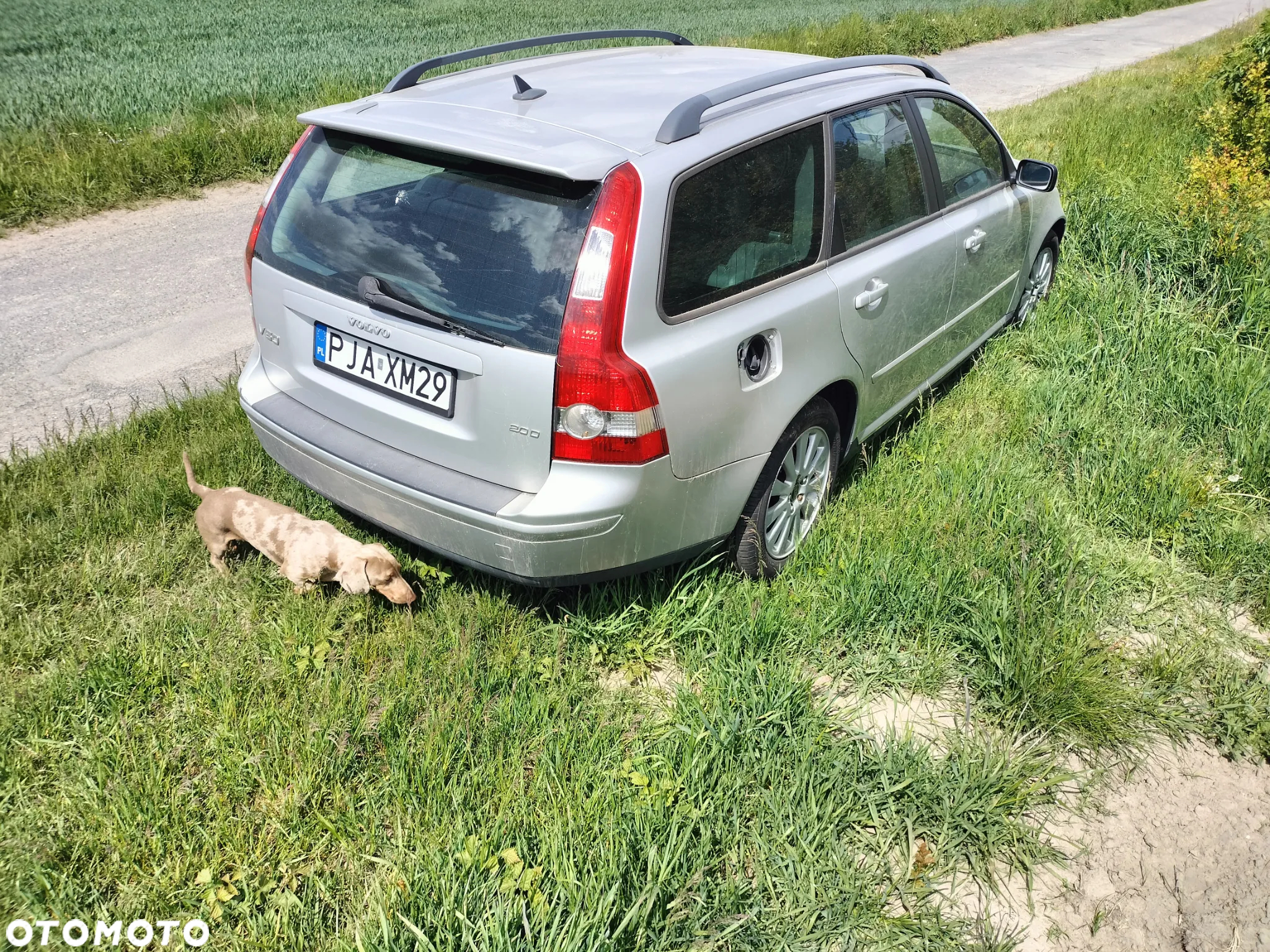 volvo V50 kod farby 426-26 na czesci 2.0 diesel - 3