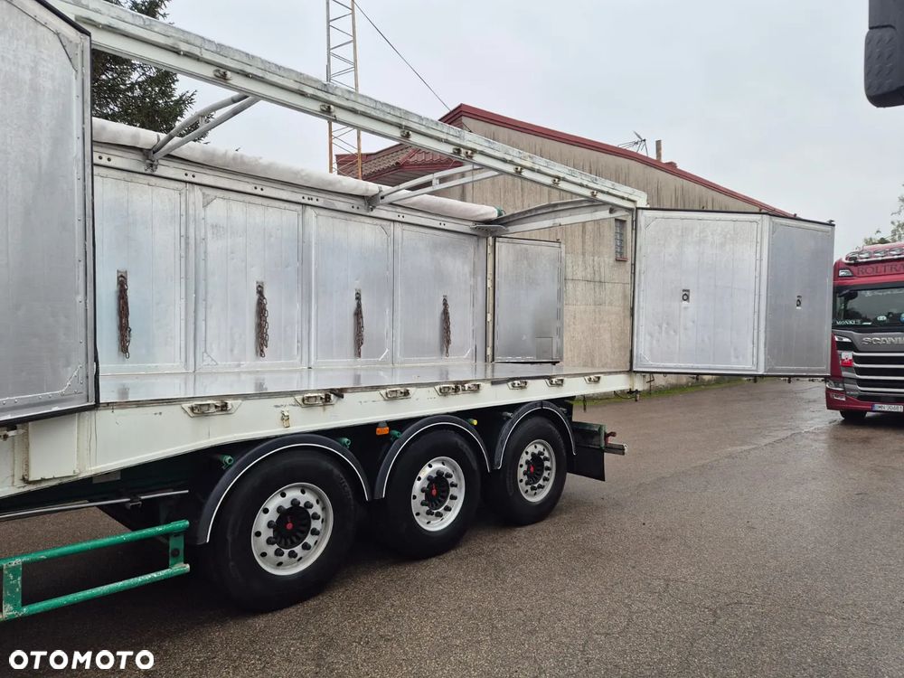 Benalu Wywrotka - 28