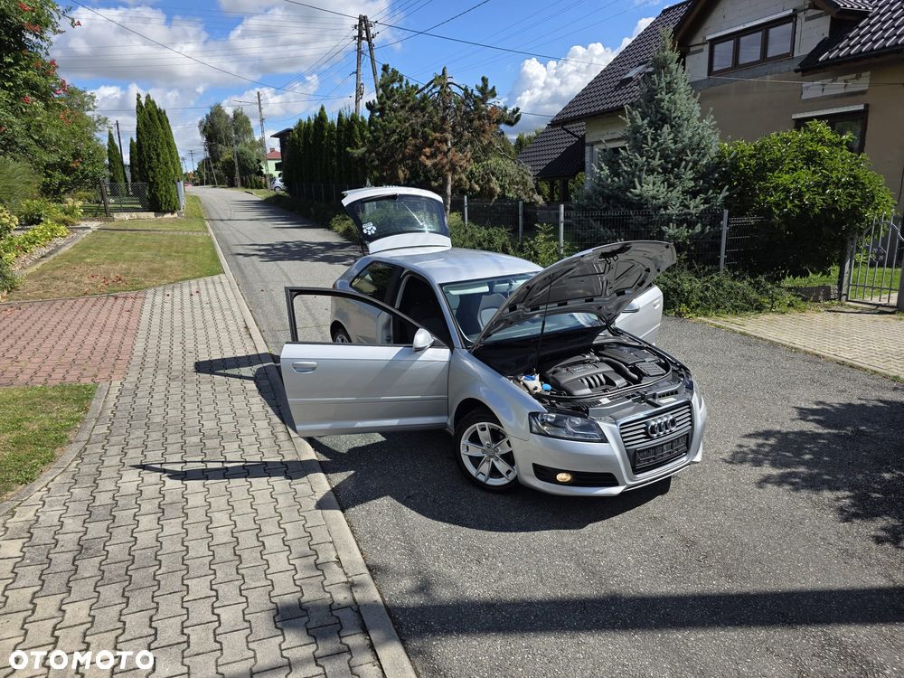 Audi A3 3-drzwiowe 1.6 Ambiente - 1