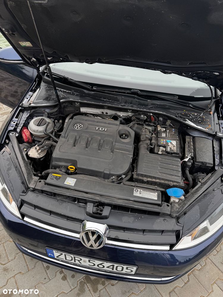Volkswagen Golf 1.6 TDI BlueMotion Technology Allstar - 13