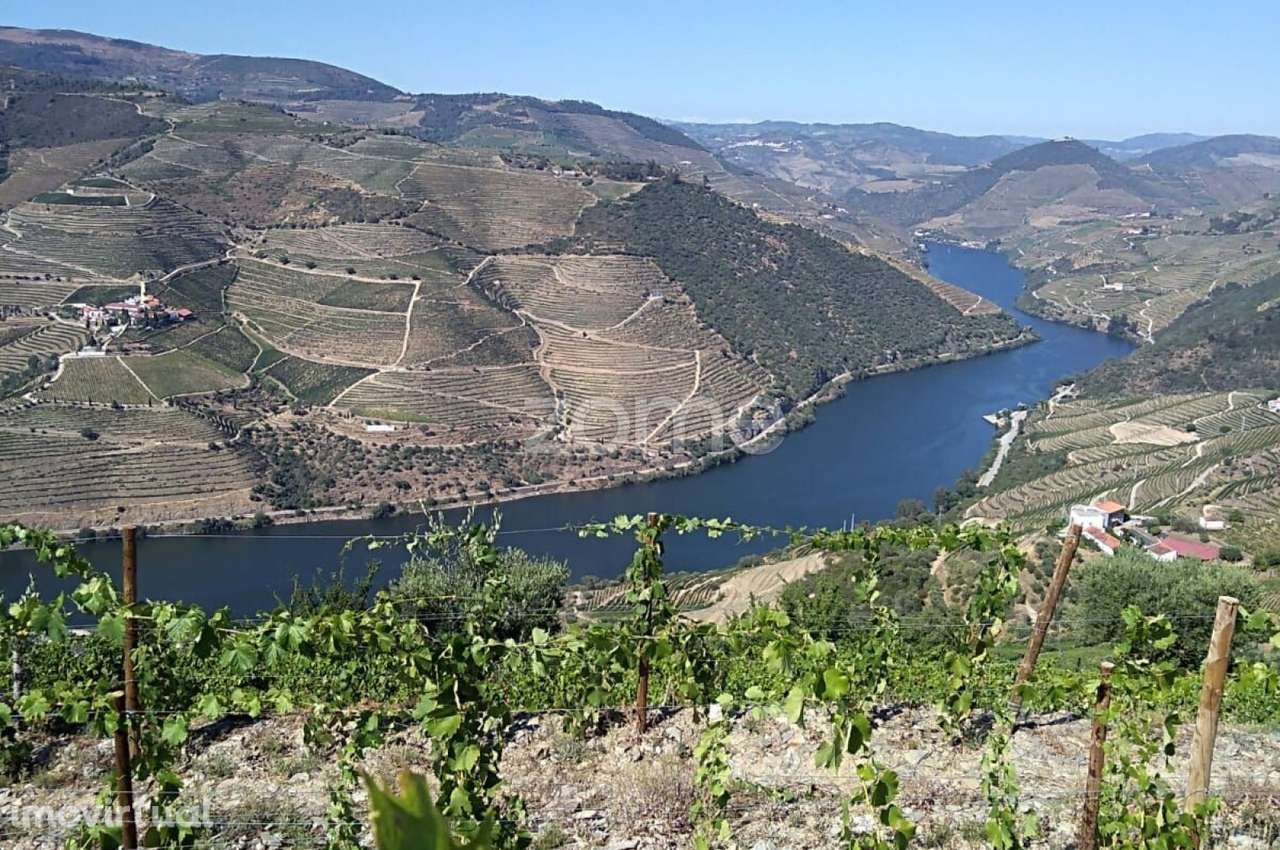 Quinta com vista sobre o Douro - Grande imagem: 2/34