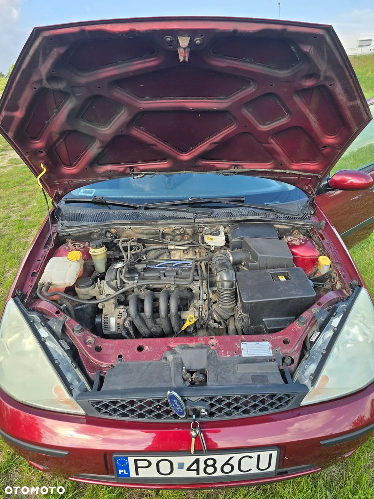 Ford Focus - 11