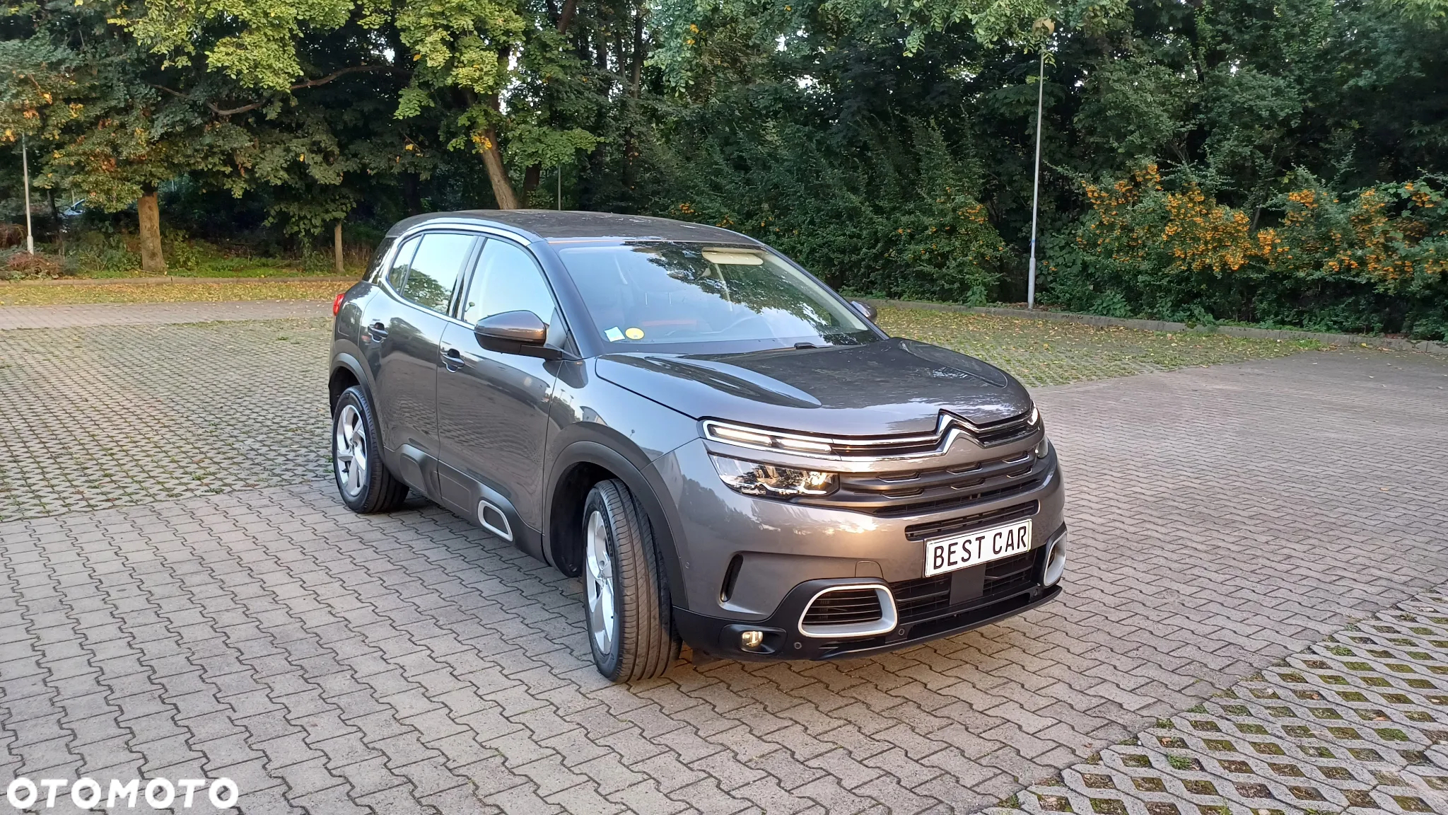 Citroën C5 Aircross BlueHDI 130 S&S EAT8 C-SERIES - 17