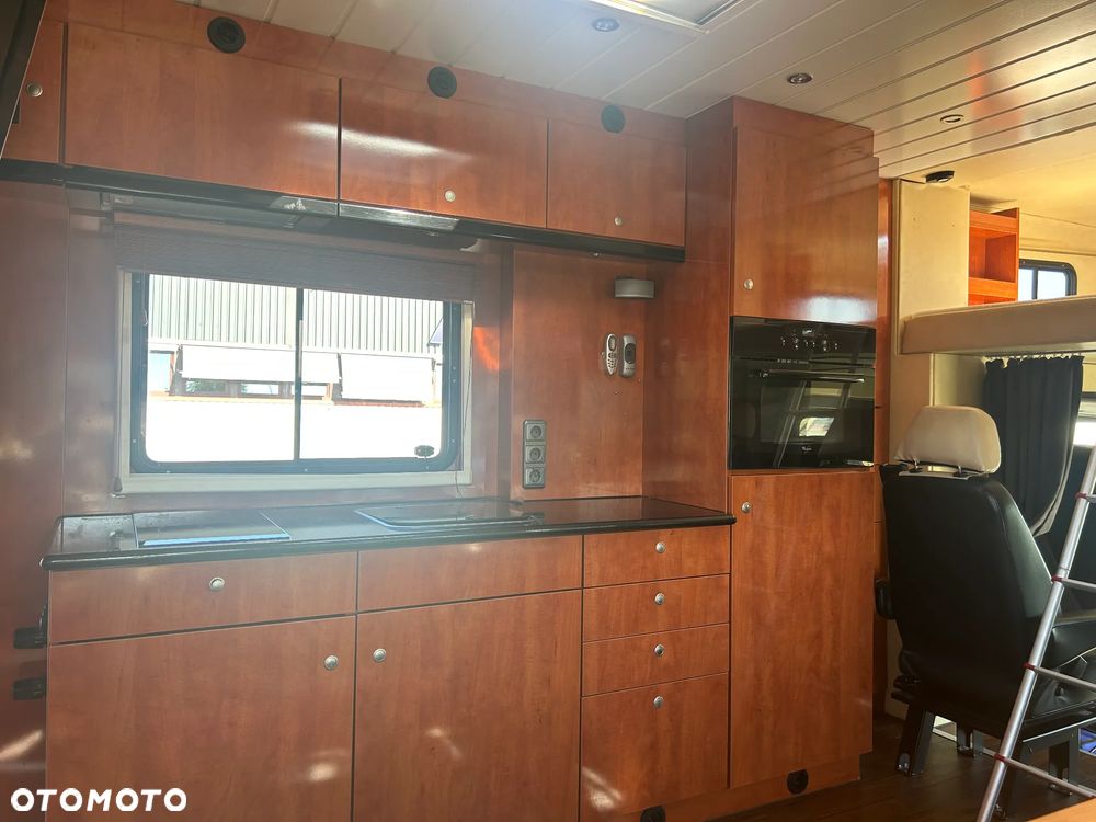 Scania R340 Koniowóz POP OUT - 15