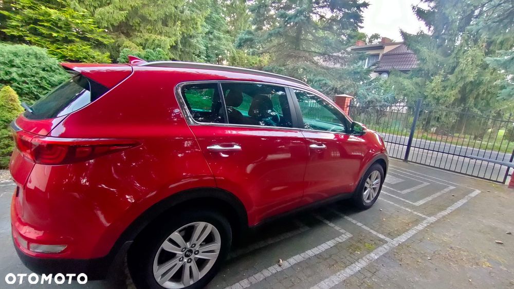 Kia Sportage 1.6 T-GDI L 4WD DCT - 5