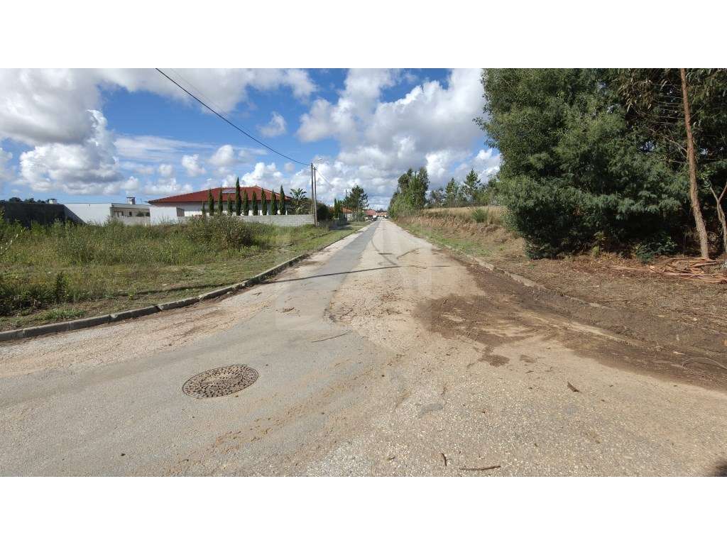 Terreno com 5.800 m² e potencial construtivo em Pinheiro da Bemposta - Grande imagem: 4/23