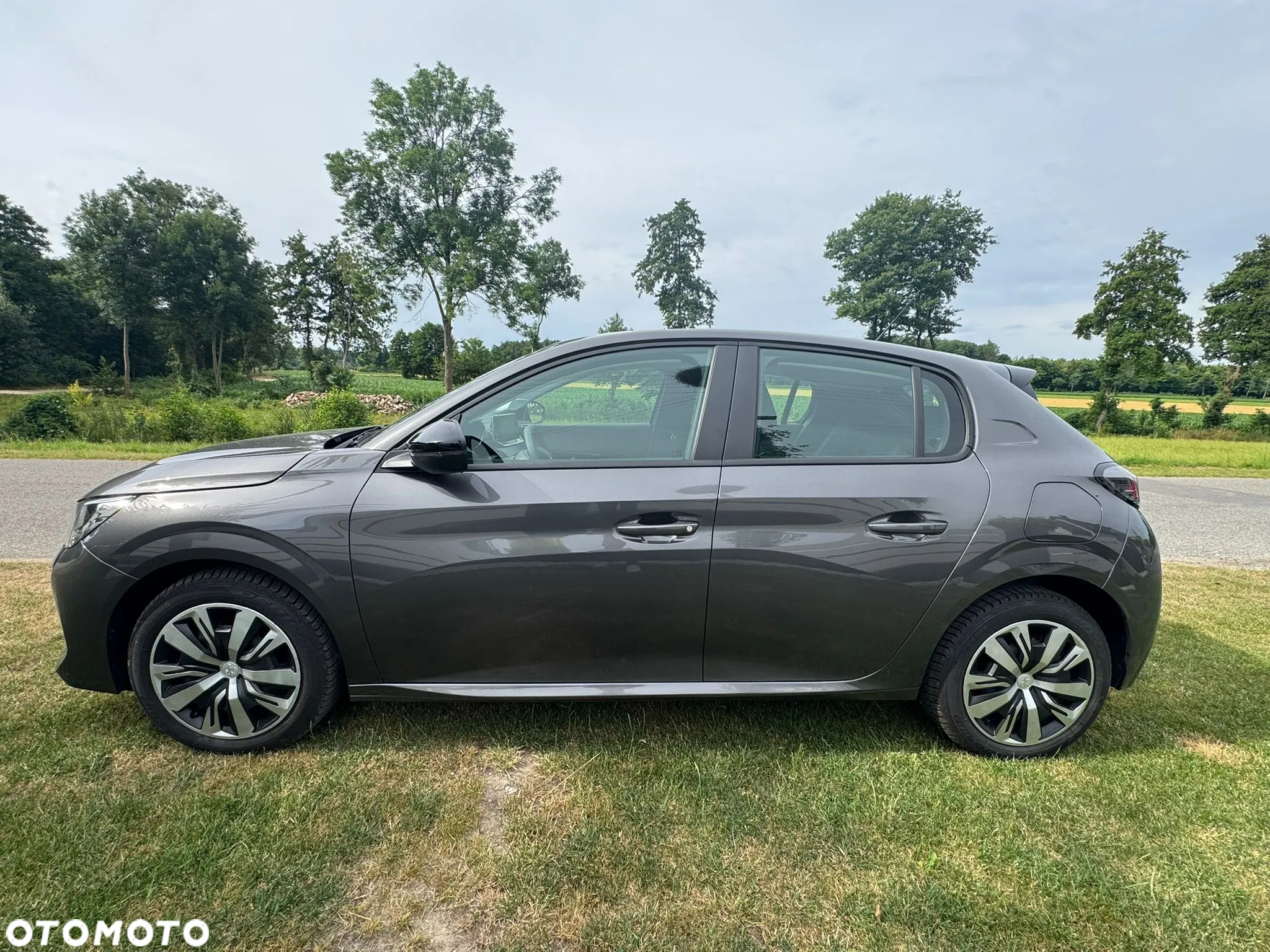 Peugeot 208 1.5 BlueHDi Active S&S - 12