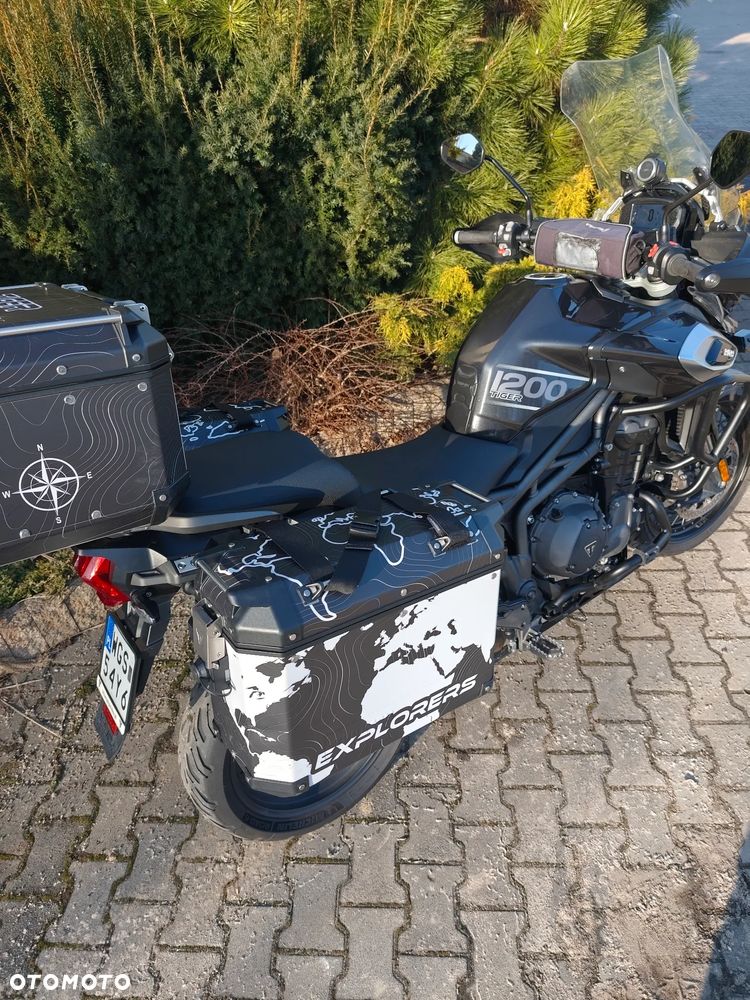 Triumph Tiger - 18