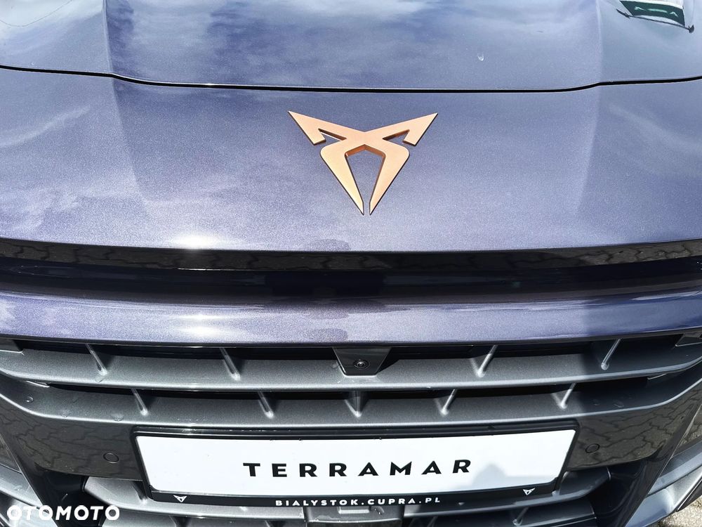 Cupra Terramar 1.5 eTSI mHEV Advantage Edition DSG - 19