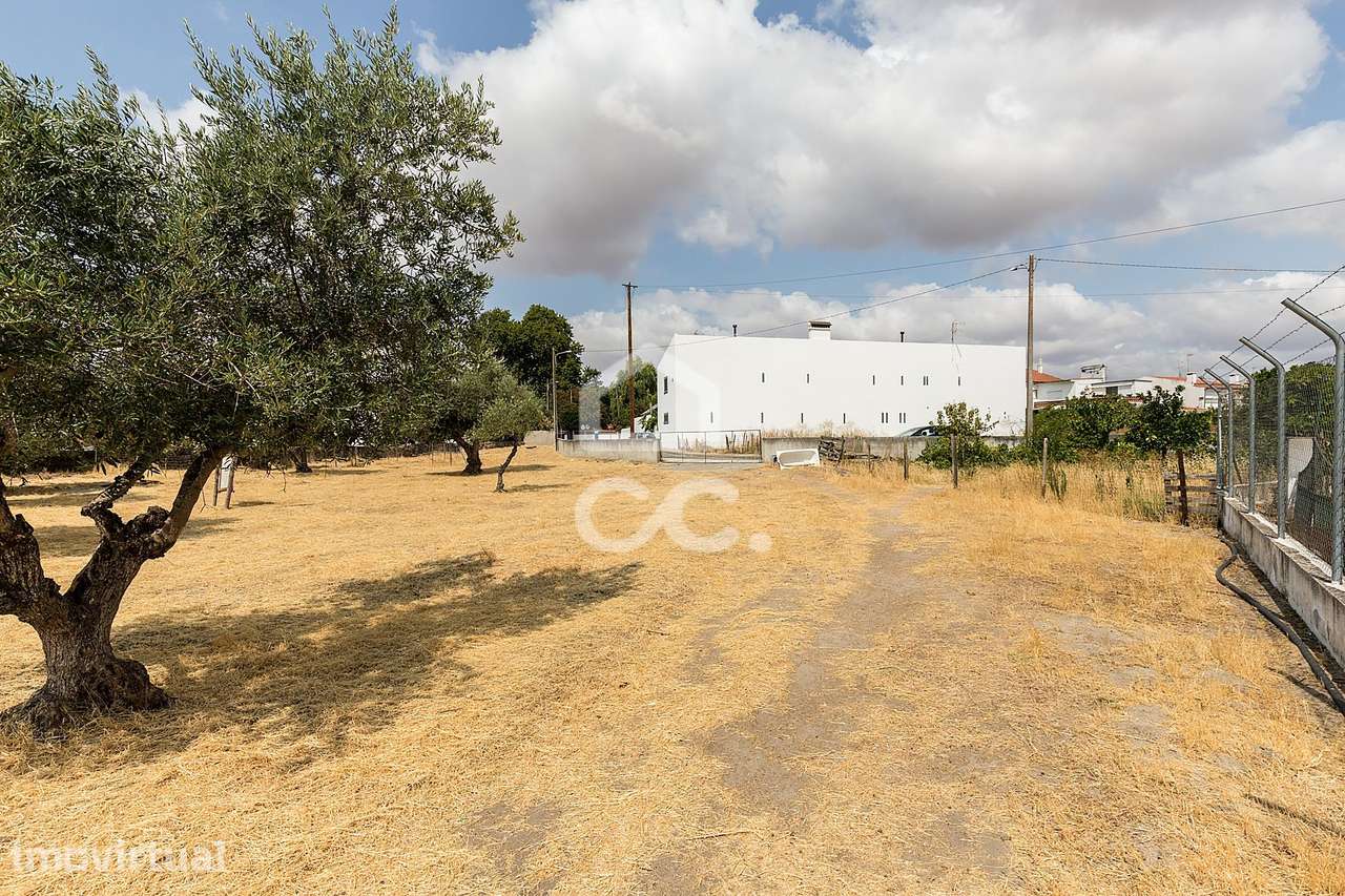 Terreno Rústico com Projeto de Moradia | Santa Eulália, Elvas - Grande imagem: 4/57