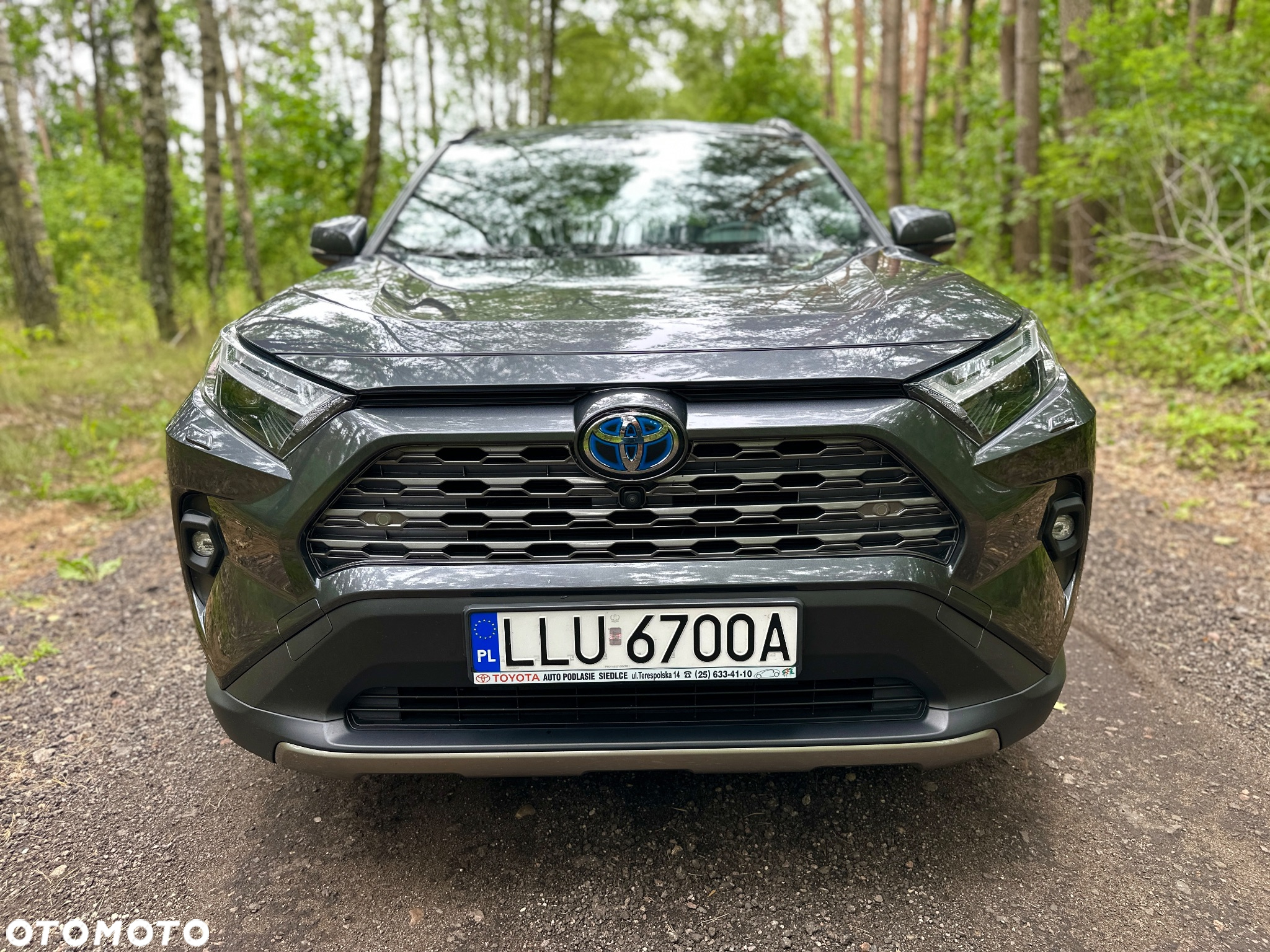 Toyota RAV4 2.5 Hybrid Executive 4x2 - 3
