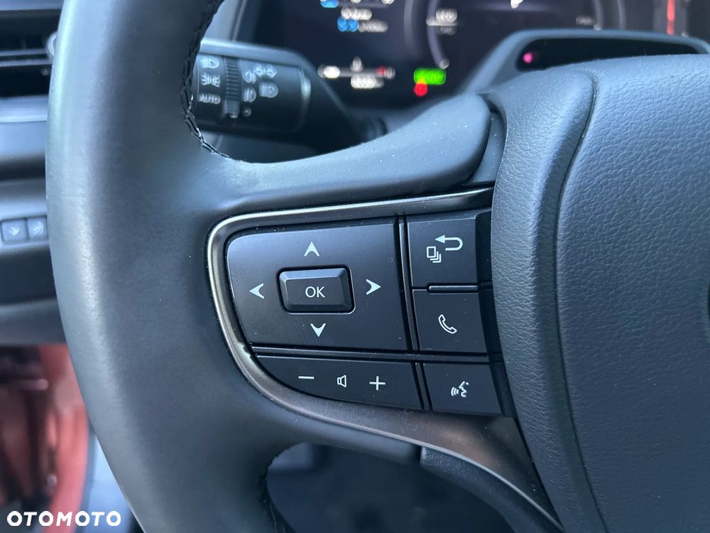 Lexus UX 300h F Sport Design - 29