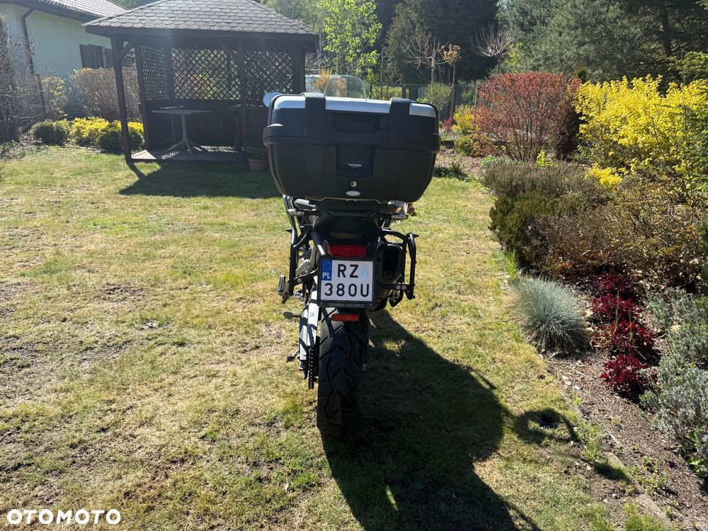 Triumph Tiger - 8