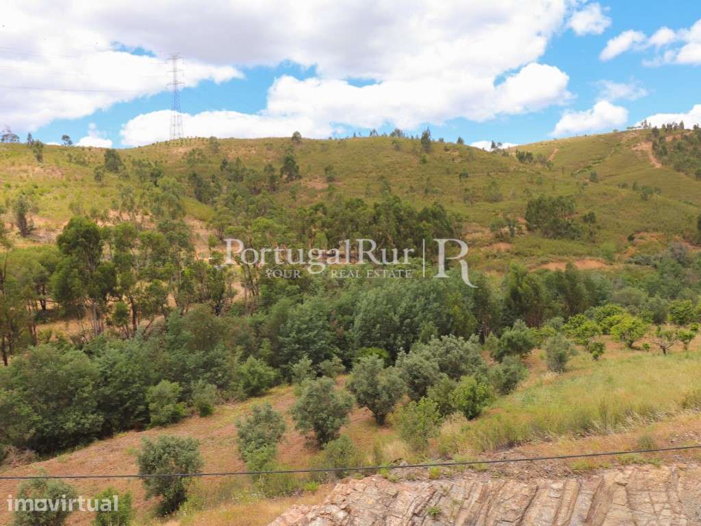 Herdade Algarvia de 29 Hectares com Projeto de Construção Aprovado - Grande imagem: 2/34