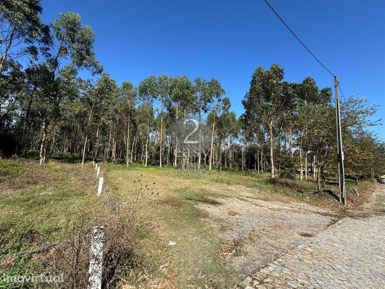 Terreno,  Árvore, Construção em altura - Grande imagem: 3/6