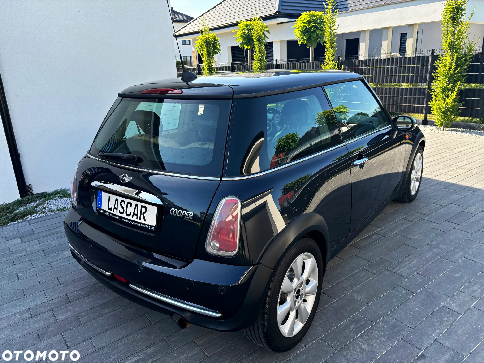 MINI Cooper pepper - 16