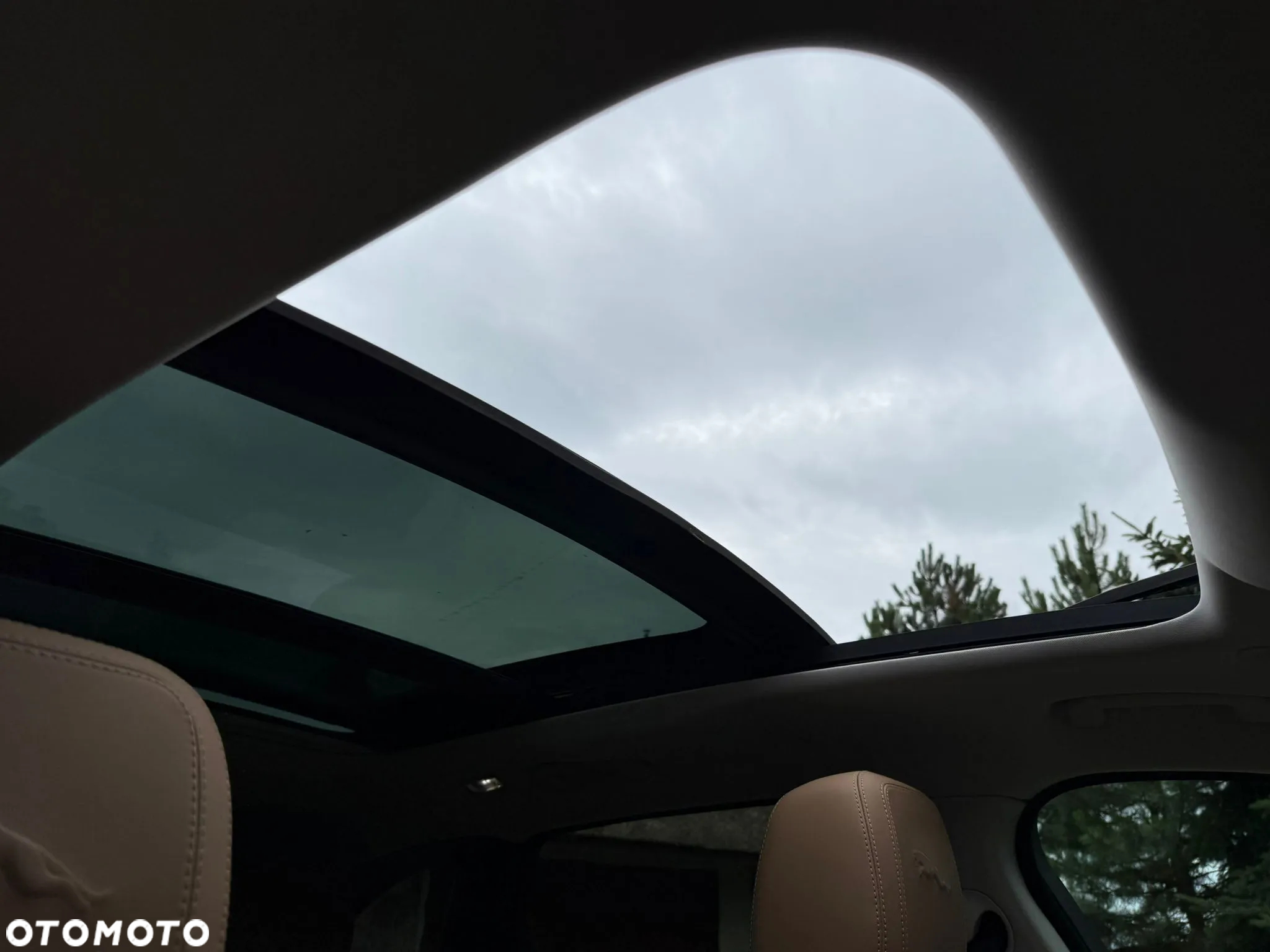 Jaguar F-Pace P250 AWD R-Dynamic Black - 32