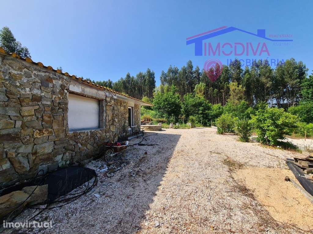 Terreno com casa de arrumos junto a ribeira, Figueiró dos Vinhos - Grande imagem: 4/34