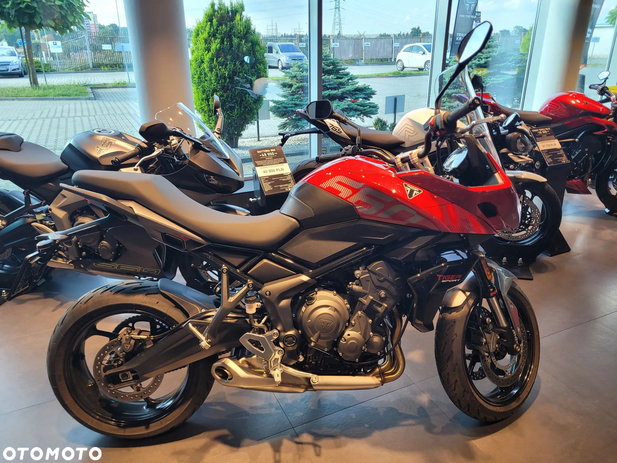 Triumph Tiger