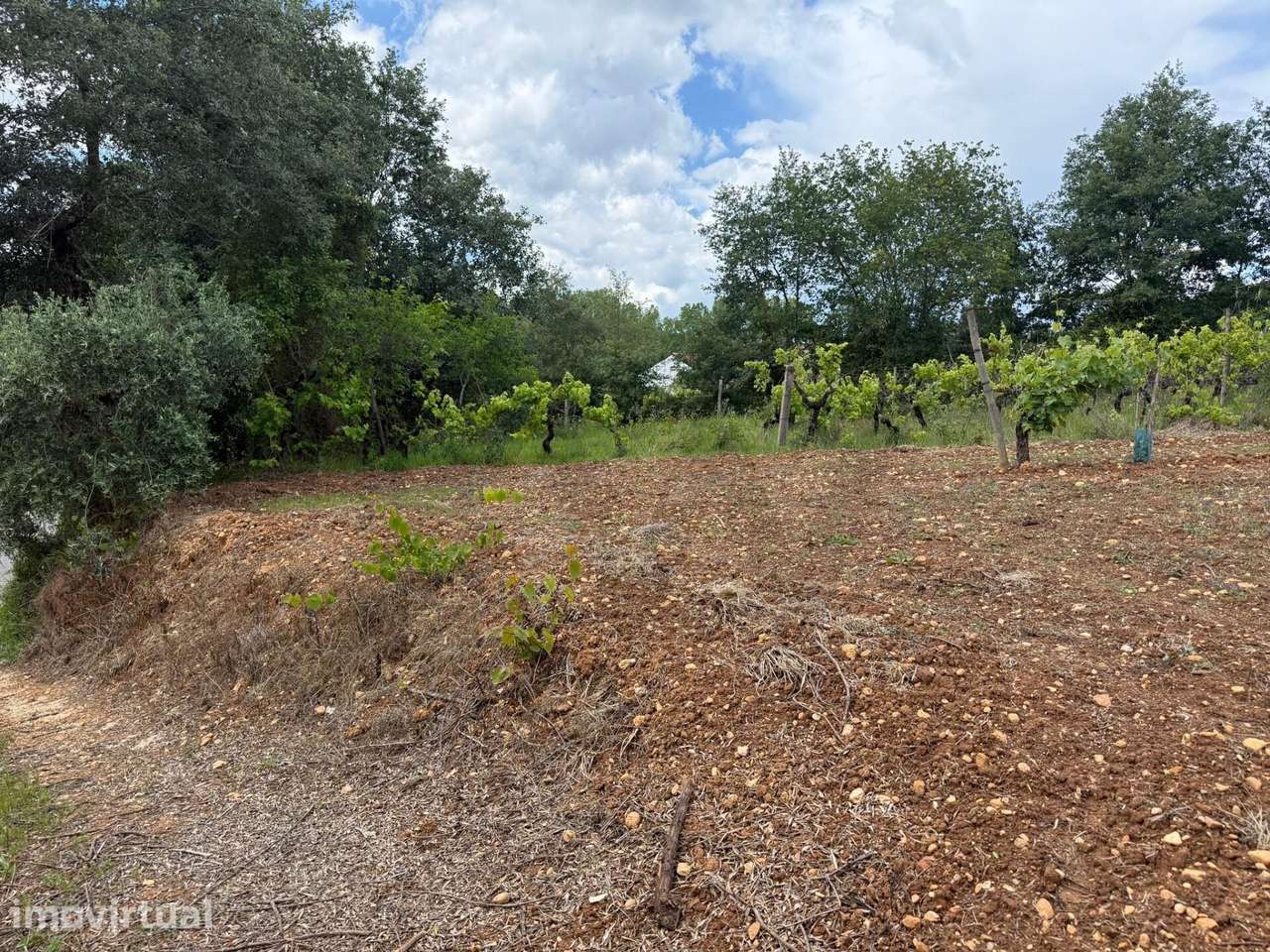 Terreno para construção com projeto aprovado em Vil de Matos - Grande imagem: 5/9