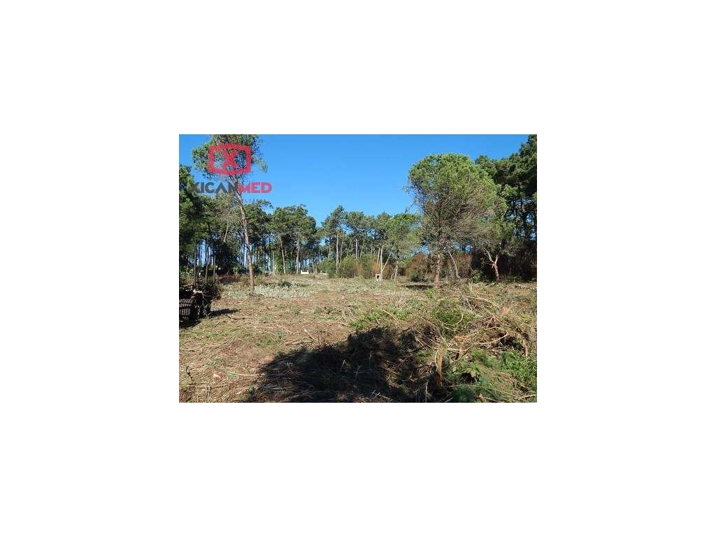 Areal - Janas - Grande imagem: 5/5