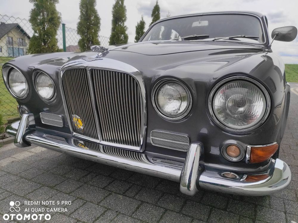 Jaguar Inny - 11