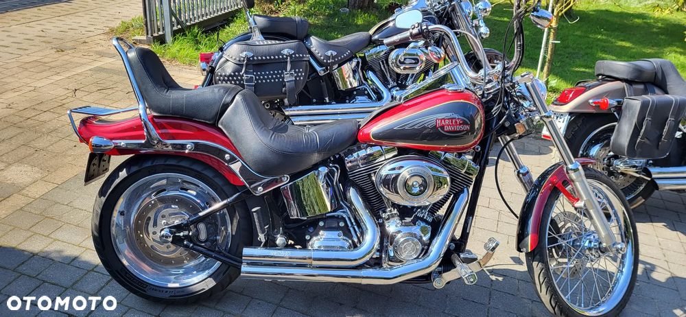Harley-Davidson Softail Custom - 1