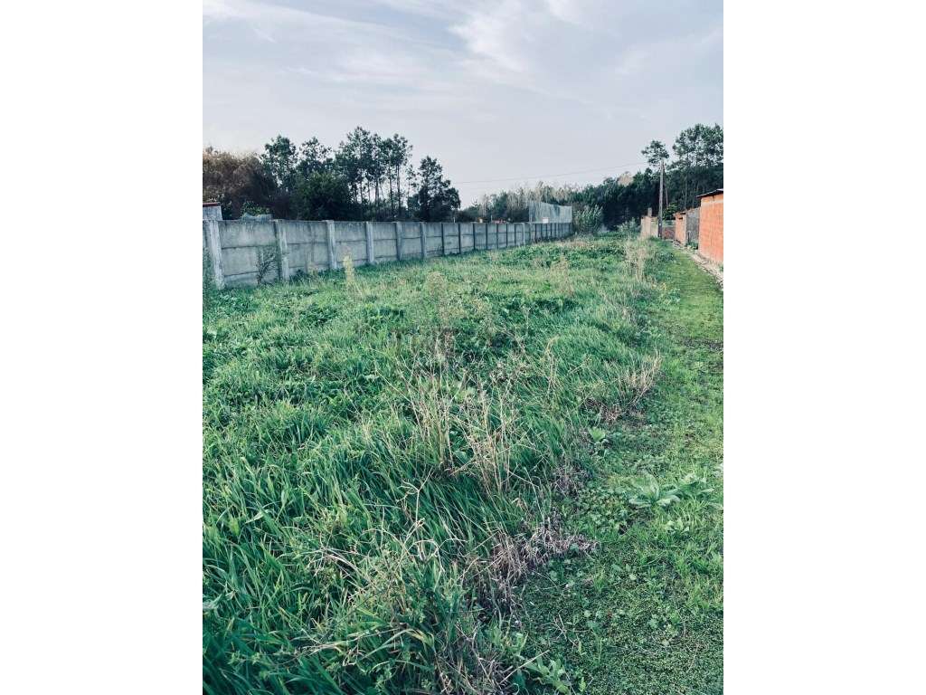 Terreno para construção de 2 moradias individuais com autorização p... - Grande imagem: 4/4